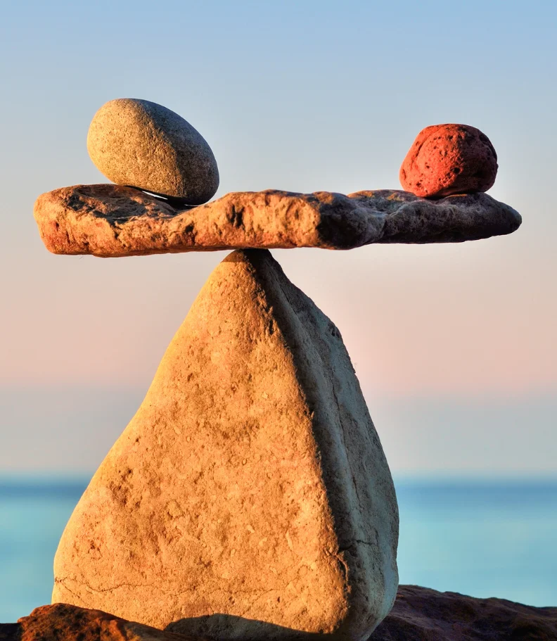 Wellness Care in Macomb
